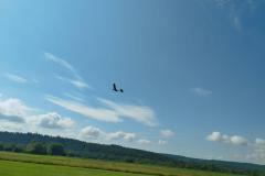 IMG-20240526-WA0033
