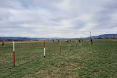 IMG-20240114-WA0007